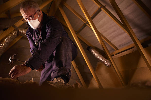 Best Specialty Insulation in Keokuk, IA