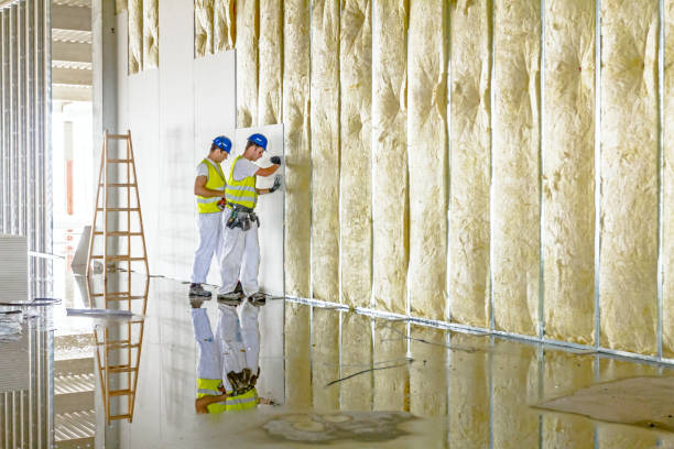 Best Insulation Maintenance and Repair in Keokuk, IA
